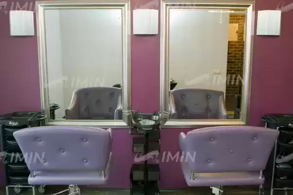 Салон в Подколокольном переулке 