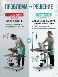 Стол для груминга электрический с регулировкой высоты 75х45 см, для стрижки собак мелких и средних пород, прорезиненная столешница
