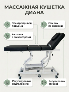Массажная стол - кушетка "Диана" с электроприводом, питание от сети, (арт.1134) 1 мотор 