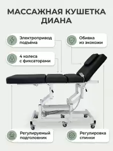 Массажная стол - кушетка "Диана" с электроприводом, питание от сети, (арт.1134) 1 мотор 